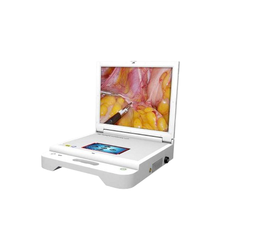 Endoscopio portatil